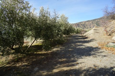 Landejendom i Canar, Granada, Canar - € 349.000 | Ref: CNC565 - foto 32