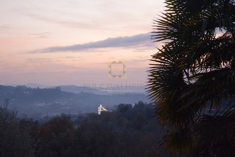 Farm i Vila Verde, Braga, Vila Verde - € 565.000 | Ref: RCI 1648 - foto 15