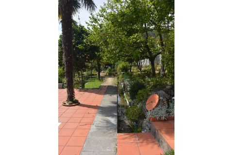 Farm i Vila Verde, Braga, Vila Verde - € 565.000 | Ref: RCI 1648 - foto 19