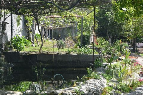 Farm i Vila Verde, Braga, Vila Verde - € 565.000 | Ref: RCI 1648 - foto 21