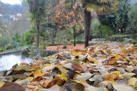Farm i Vila Verde, Braga, Vila Verde - € 565.000 | Ref: RCI 1648 - foto 23