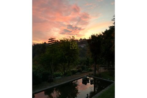 Farm i Vila Verde, Braga, Vila Verde - € 565.000 | Ref: RCI 1648 - foto 25