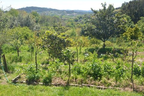 Farm i Vila Verde, Braga, Vila Verde - € 565.000 | Ref: RCI 1648 - foto 29