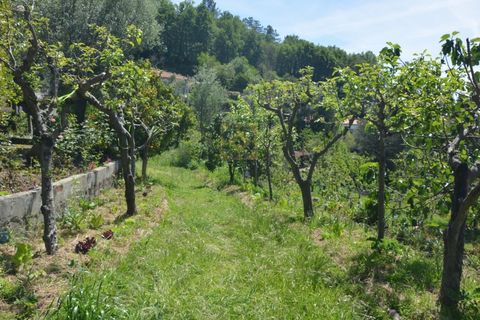 Farm i Vila Verde, Braga, Vila Verde - € 565.000 | Ref: RCI 1648 - foto 31