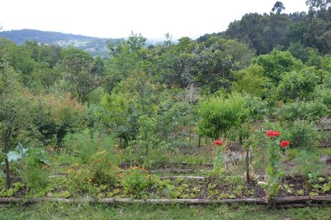 Farm i Vila Verde, Braga, Vila Verde - € 565.000 | Ref: RCI 1648 - foto 32