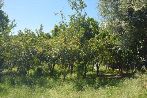 Farm i Vila Verde, Braga, Vila Verde - € 565.000 | Ref: RCI 1648 - foto 33