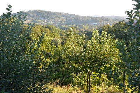 Farm i Vila Verde, Braga, Vila Verde - € 565.000 | Ref: RCI 1648 - foto 34