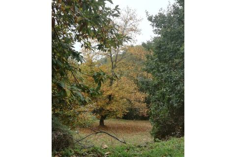 Farm i Vila Verde, Braga, Vila Verde - € 565.000 | Ref: RCI 1648 - foto 40