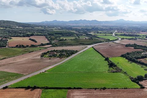 Helårsgrund i Manacor, Mallorca, Manacor - € 495.000 | Ref: 80829 - foto 8