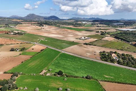 Helårsgrund i Manacor, Mallorca, Manacor - € 495.000 | Ref: 80829 - foto 9