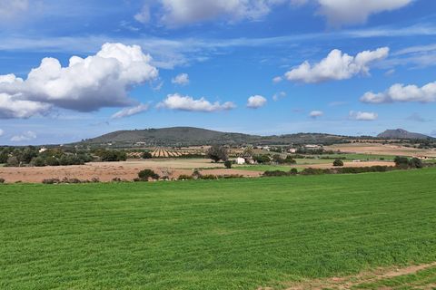 Helårsgrund i Manacor, Mallorca, Manacor - € 495.000 | Ref: 80829 - foto 10