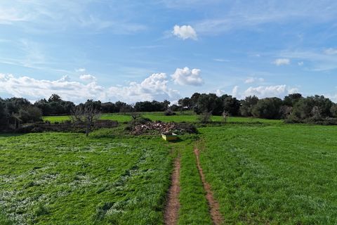 Helårsgrund i Manacor, Mallorca, Manacor - € 495.000 | Ref: 80829 - foto 11