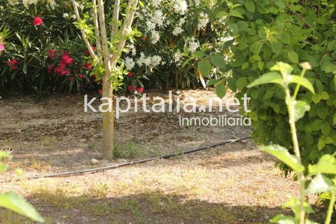 Villa a Albaida, Valencia, Albaida - € 430.000 | Ref: 03369 - foto 33