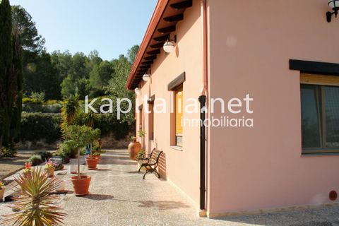 Villa a Albaida, Valencia, Albaida - € 430.000 | Ref: 03369 - foto 32