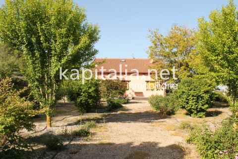 Villa a Albaida, Valencia, Albaida - € 430.000 | Ref: 03369 - foto 35
