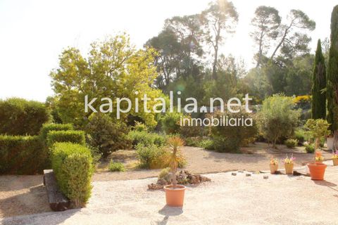 Villa a Albaida, Valencia, Albaida - € 430.000 | Ref: 03369 - foto 34