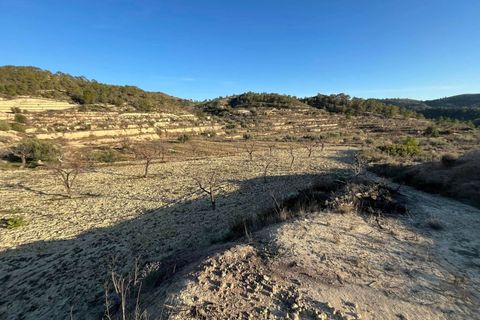 Landejendom i Relleu, Alicante, Relleu - € 95.000 | Ref: GHP0246 - foto 11