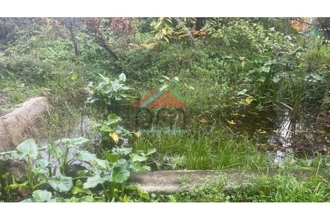Helårsgrund i Bela, Viana do Castelo, Bela - € 34.000 | Ref: TE520 - foto 2
