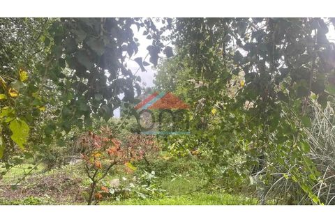 Helårsgrund i Bela, Viana do Castelo, Bela - € 34.000 | Ref: TE520 - foto 3