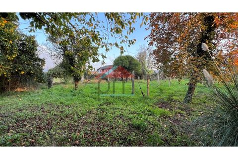 Helårsgrund i Bela, Viana do Castelo, Bela - € 57.000 | Ref: TE519 - foto 1