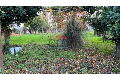 Helårsgrund i Bela, Viana do Castelo, Bela - € 57.000 | Ref: TE519 - foto 2