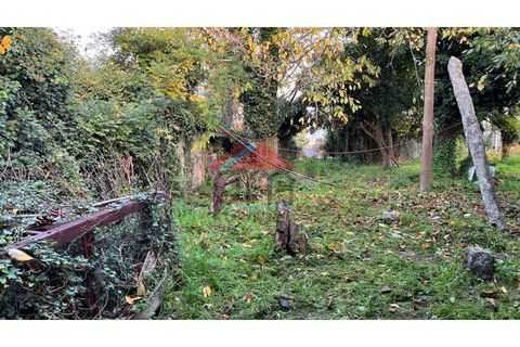 Helårsgrund i Bela, Viana do Castelo, Bela - € 57.000 | Ref: TE519 - foto 3