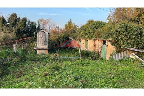 Helårsgrund i Bela, Viana do Castelo, Bela - € 57.000 | Ref: TE519 - foto 4