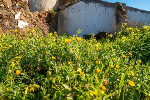 Terra em Odeleite, Faro, Odeleite - € 30.000 | Ref: KWPT-006973 - foto 9