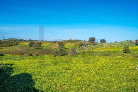 Terra em Odeleite, Faro, Odeleite - € 30.000 | Ref: KWPT-006973 - foto 11