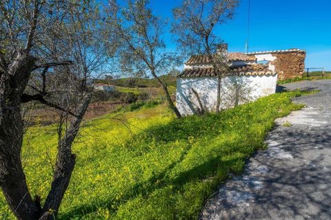 Terra em Odeleite, Faro, Odeleite - € 30.000 | Ref: KWPT-006973 - foto 13