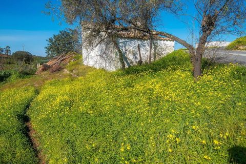 Terra em Odeleite, Faro, Odeleite - € 30.000 | Ref: KWPT-006973 - foto 20
