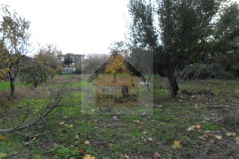 Helårsgrund i Paredes, Porto, Paredes - € 85.000 | Ref: 756 - foto 3