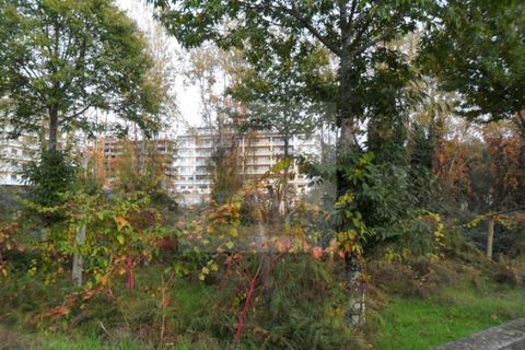 Helårsgrund i Paredes, Porto, Paredes - € 85.000 | Ref: 756 - foto 4