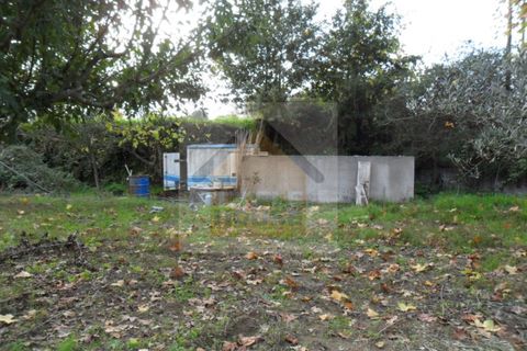 Helårsgrund i Paredes, Porto, Paredes - € 85.000 | Ref: 756 - foto 5