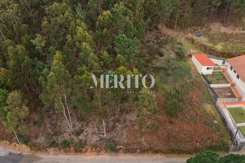 Helårsgrund i Barcelos, Braga, Barcelos - € 84.000 | Ref: MIBC-E/0069 - foto 5