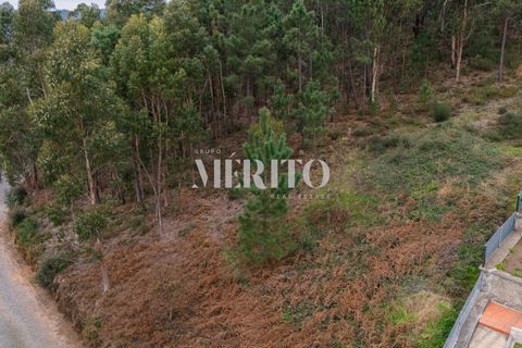 Helårsgrund i Barcelos, Braga, Barcelos - € 84.000 | Ref: MIBC-E/0069 - foto 8