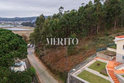 Helårsgrund i Barcelos, Braga, Barcelos - € 84.000 | Ref: MIBC-E/0069 - foto 16