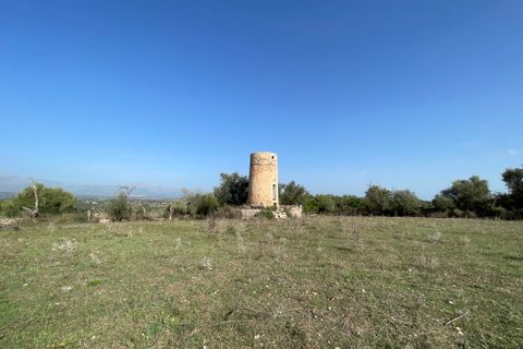 Terrain - Llubi, Mallorca, Llubi - € 500 000 | Réf : 80820 - photo 2