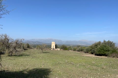 Terrain - Llubi, Mallorca, Llubi - € 500 000 | Réf : 80820 - photo 3