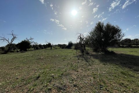 Terrain - Llubi, Mallorca, Llubi - € 500 000 | Réf : 80820 - photo 4