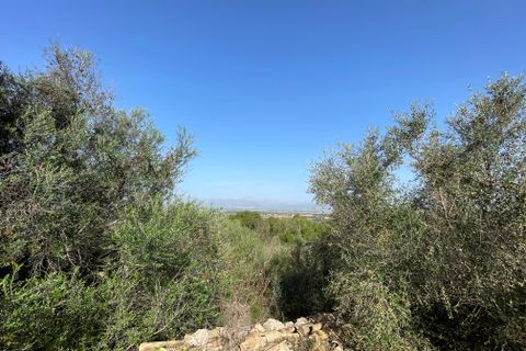 Terrain - Llubi, Mallorca, Llubi - € 500 000 | Réf : 80820 - photo 5