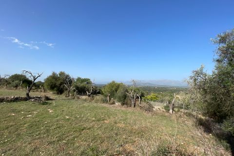 Terrain - Llubi, Mallorca, Llubi - € 500 000 | Réf : 80820 - photo 6
