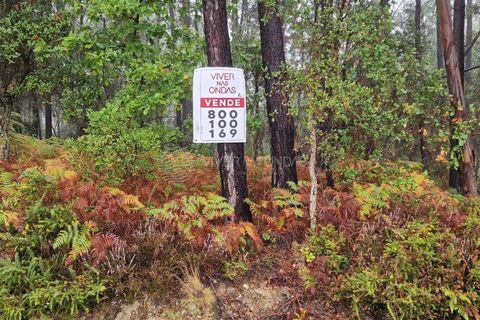 Terra a Serta, Castelo Branco, Serta - € 30.000 | Ref: JD-1042 - foto 3