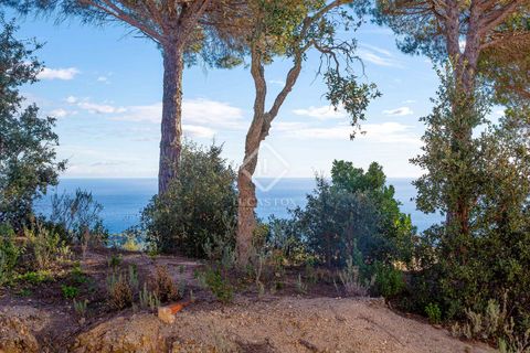 Villa a Lloret De Mar, Gerona, Lloret De Mar - € 800.000 | Ref: CBR55886 - foto 4