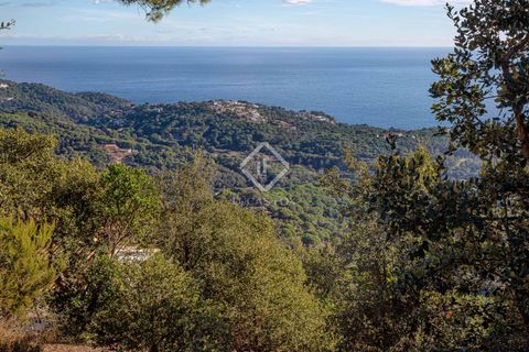 Villa a Lloret De Mar, Gerona, Lloret De Mar - € 800.000 | Ref: CBR55886 - foto 6
