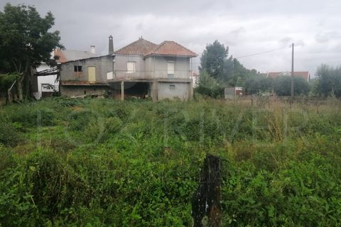 Villa a Grijo, Porto, Grijo - € 75.000 | Ref: UNU-F3-04-241 - foto 3