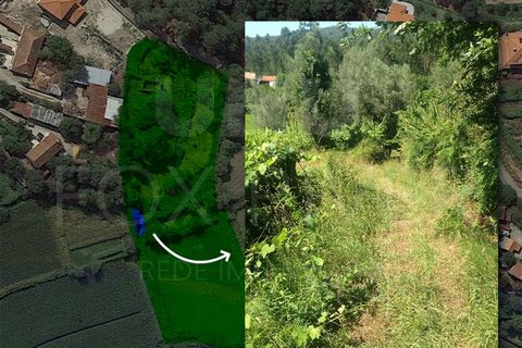 Helårsgrund i Ponte de Lima, Viana do Castelo, Ponte de Lima - € 70.000 | Ref: UNU-F3-67-6 - foto 5