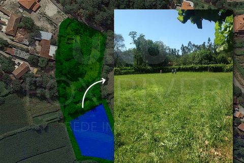 Helårsgrund i Ponte de Lima, Viana do Castelo, Ponte de Lima - € 70.000 | Ref: UNU-F3-67-6 - foto 6