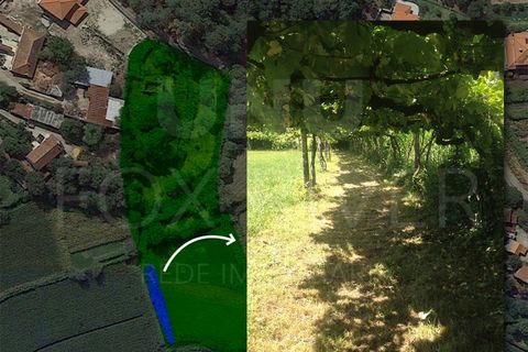 Helårsgrund i Ponte de Lima, Viana do Castelo, Ponte de Lima - € 70.000 | Ref: UNU-F3-67-6 - foto 8
