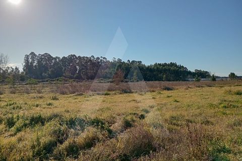 Helårsgrund i Chaves, Vila Real, Chaves - € 16.000 | Ref: 1060915/25 AL - foto 6